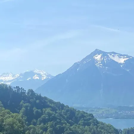 Vu Sur Le Et Les Neiges Eternelle Thun