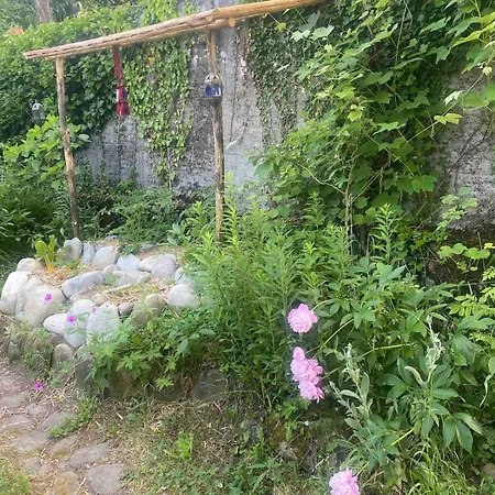 Vu Sur Le Et Les Neiges Eternelle *