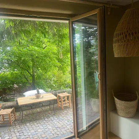 Vu Sur Le Et Les Neiges Eternelle * Thun