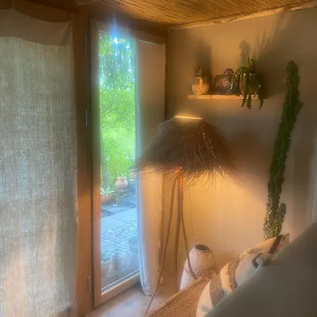 Vu Sur Le Et Les Neiges Eternelle *