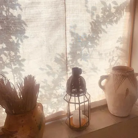 Vu Sur Le Et Les Neiges Eternelle *