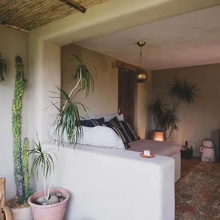 Vu Sur Le Et Les Neiges Eternelle Thun