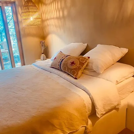 Vu Sur Le Et Les Neiges Eternelle * Thun