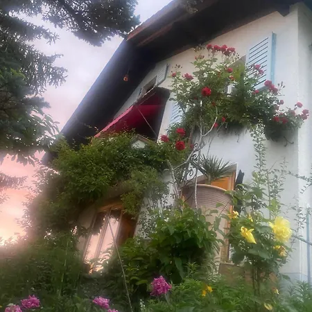 Apartment Vu Sur Le Et Les Neiges Eternelle