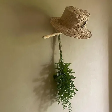 Vu Sur Le Et Les Neiges Eternelle Apartment