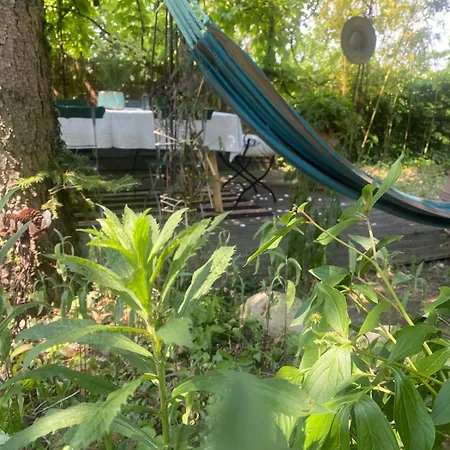 Vu Sur Le Et Les Neiges Eternelle Apartment