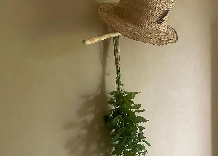 Vu Sur Le Et Les Neiges Eternelle Apartamento