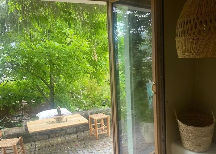 Vu Sur Le Et Les Neiges Eternelle * Thun