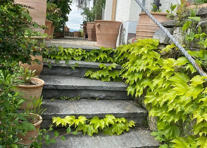 Vu Sur Le Et Les Neiges Eternelle * Thun