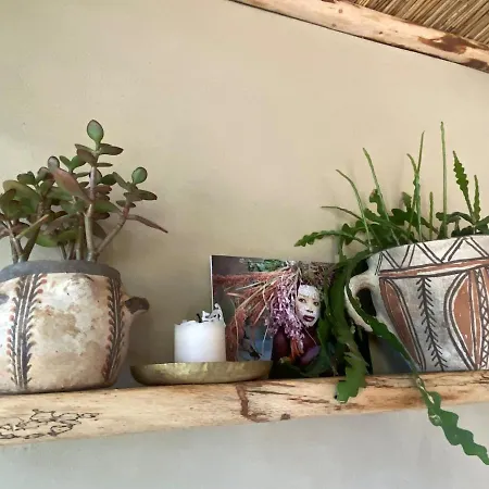 Vu Sur Le Et Les Neiges Eternelle Thun