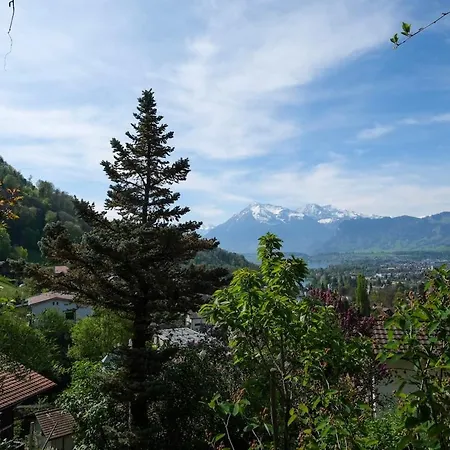 Vu Sur Le Et Les Neiges Eternelle Apartment *