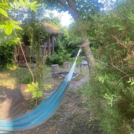 Vu Sur Le Et Les Neiges Eternelle