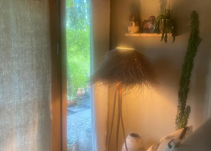 Vu Sur Le Et Les Neiges Eternelle *